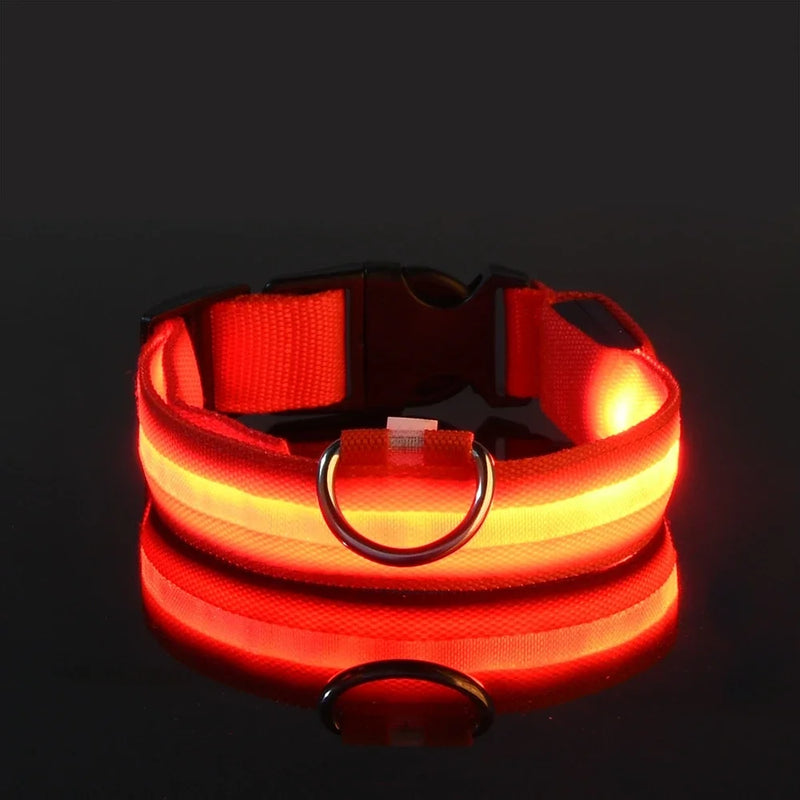 Coleira de nylon para cães, coleira de segurança noturna com LED