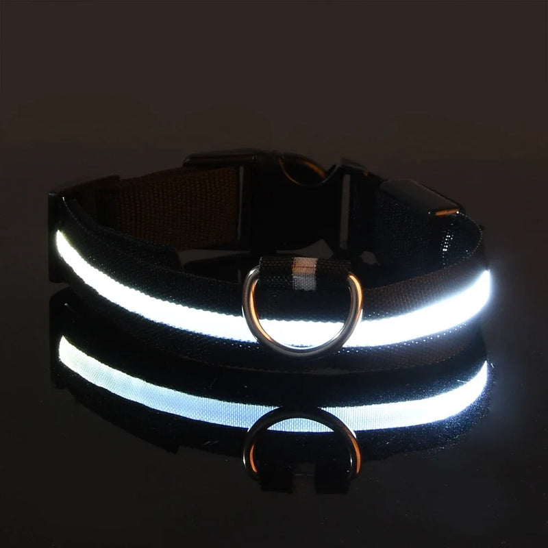 Coleira de nylon para cães, coleira de segurança noturna com LED