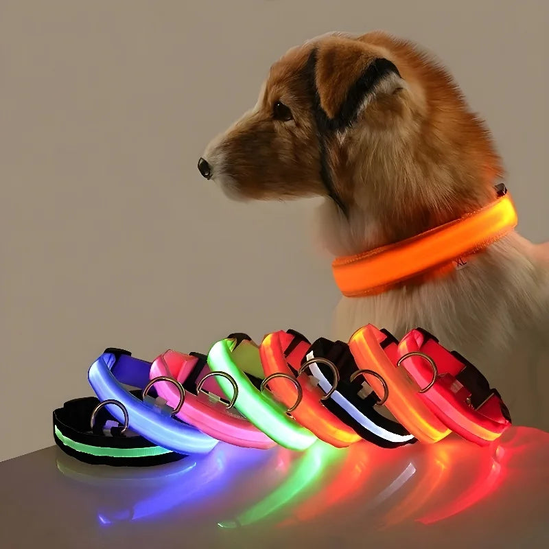 Coleira de nylon para cães, coleira de segurança noturna com LED