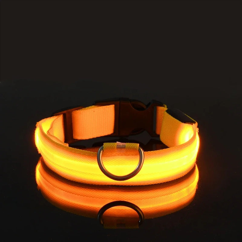 Coleira de nylon para cães, coleira de segurança noturna com LED